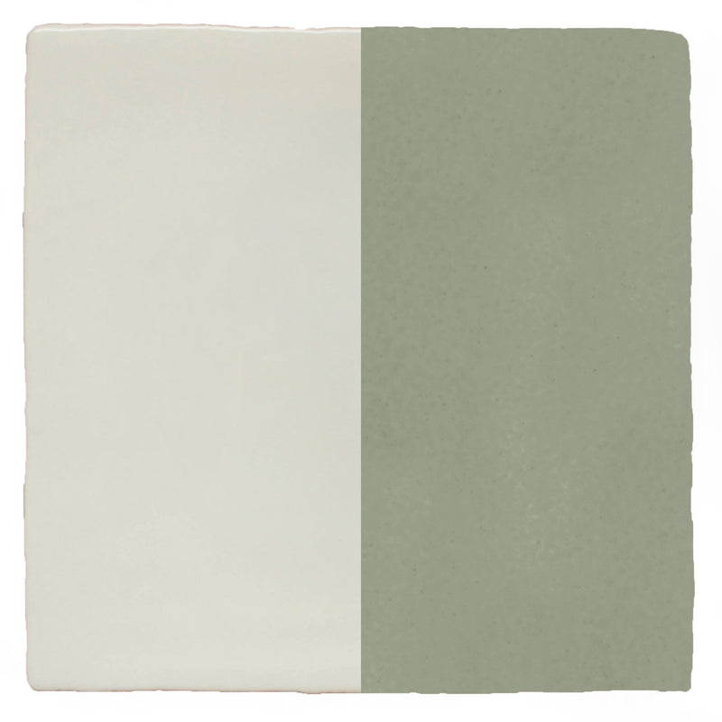 Half Plain Sailing Lichen