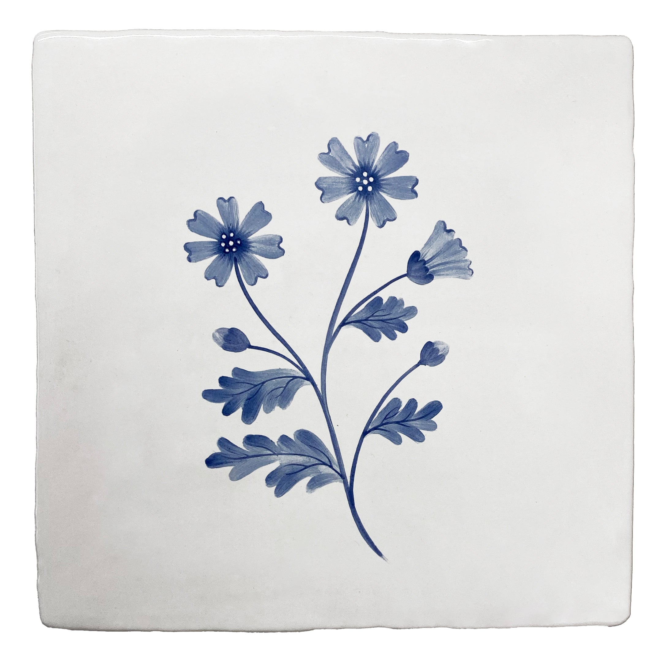 Cornish Meadow Marigold in Blue