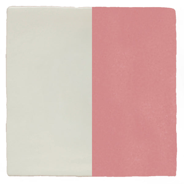 Half Plain Sailing Rose