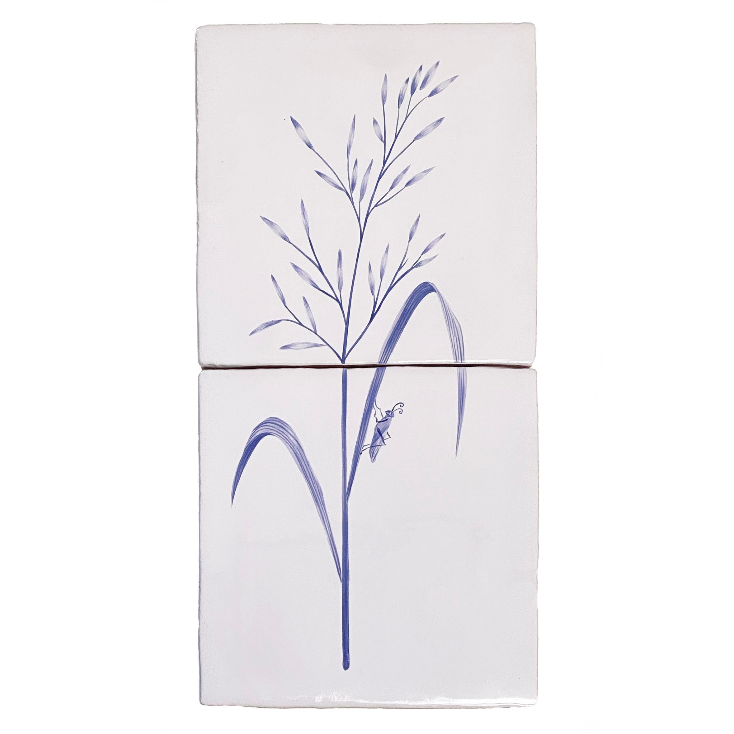 Grasslands Soft Brome