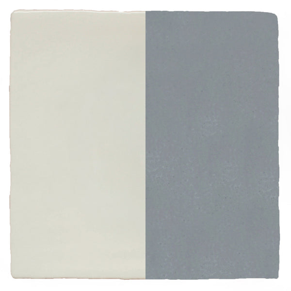 Half Plain Sailing Speedwell