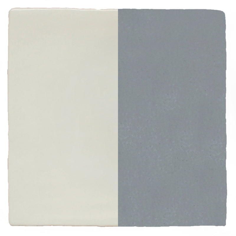 Half Plain Sailing Speedwell