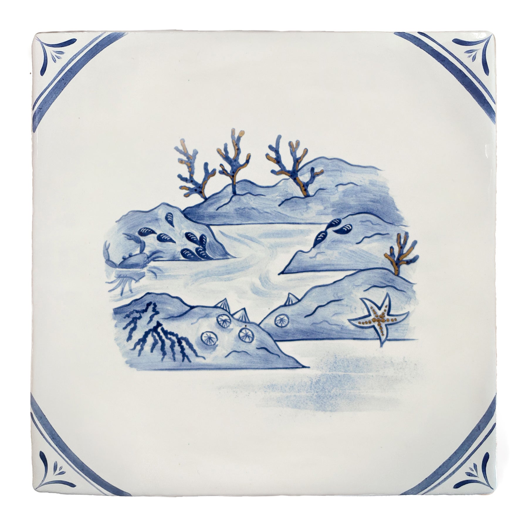 Wilderness Delft Rockpooling with Gold