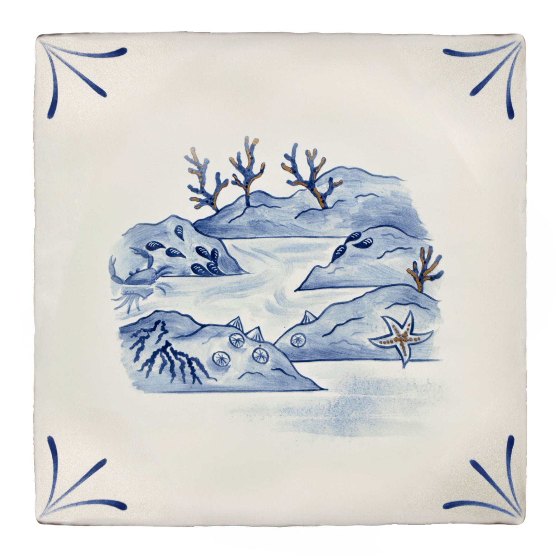 Wilderness Delft Rockpooling with Gold