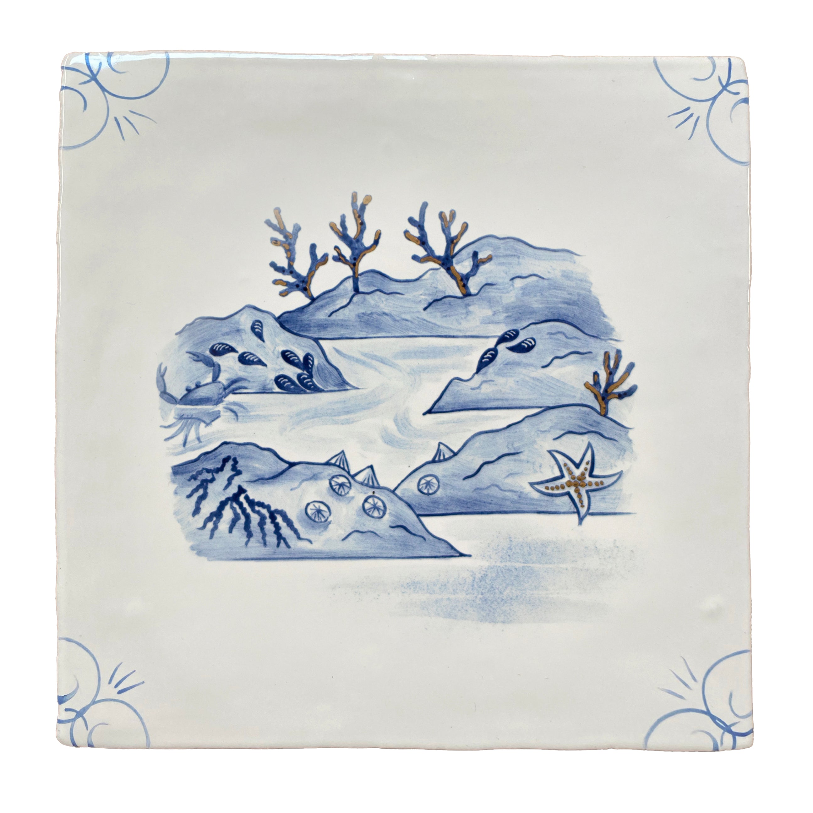 Wilderness Delft Rockpooling with Gold