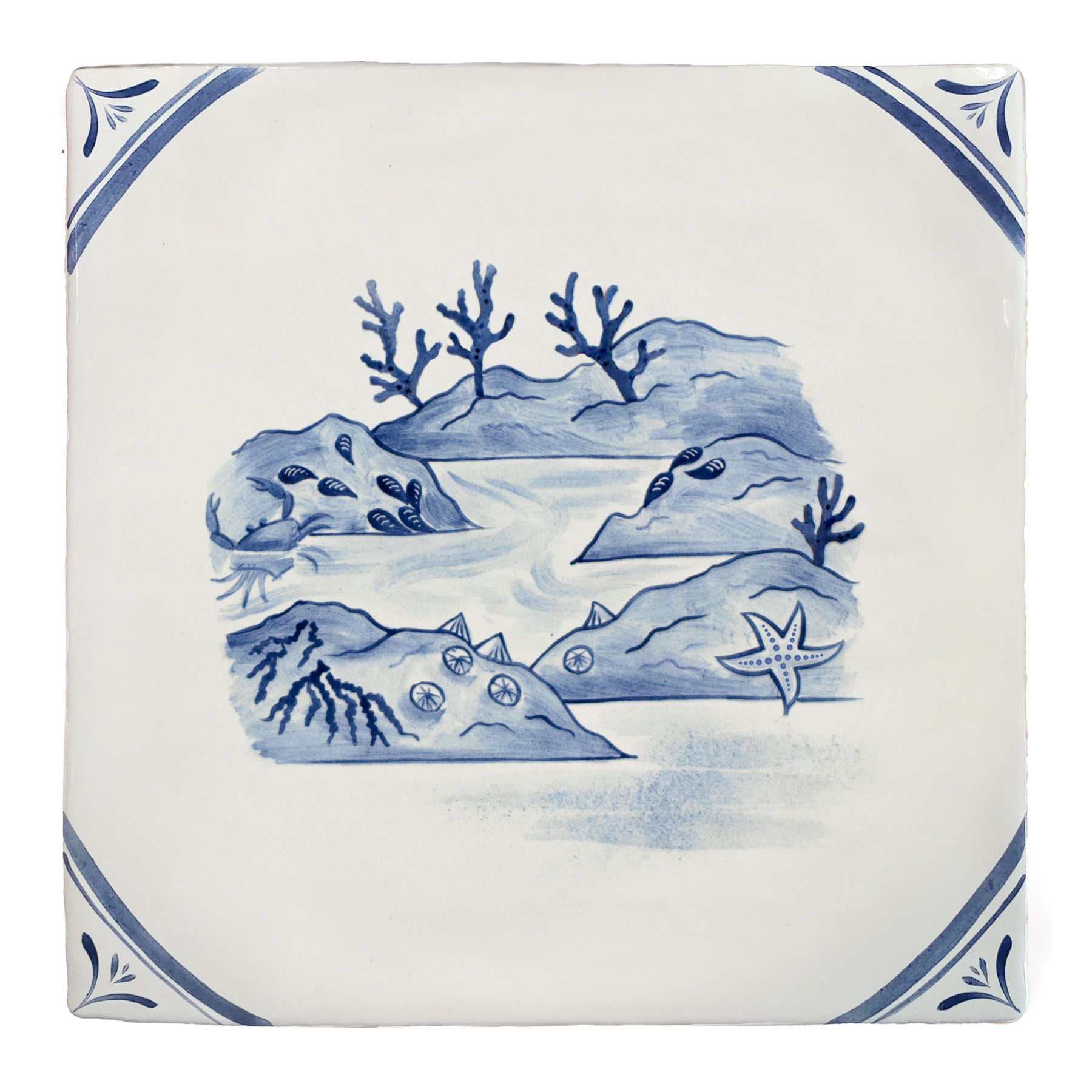 Wilderness Delft Rockpooling