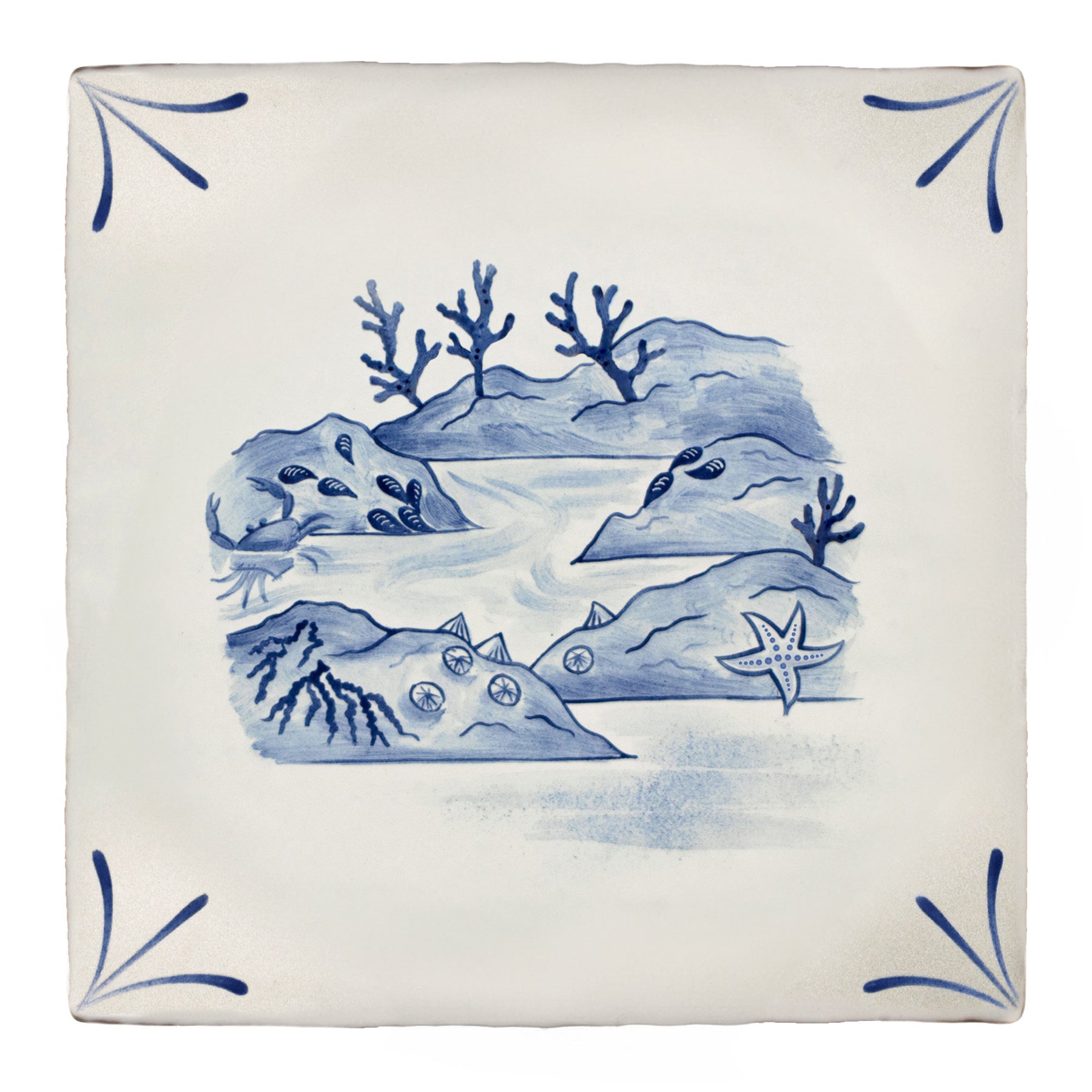 Wilderness Delft Rockpooling