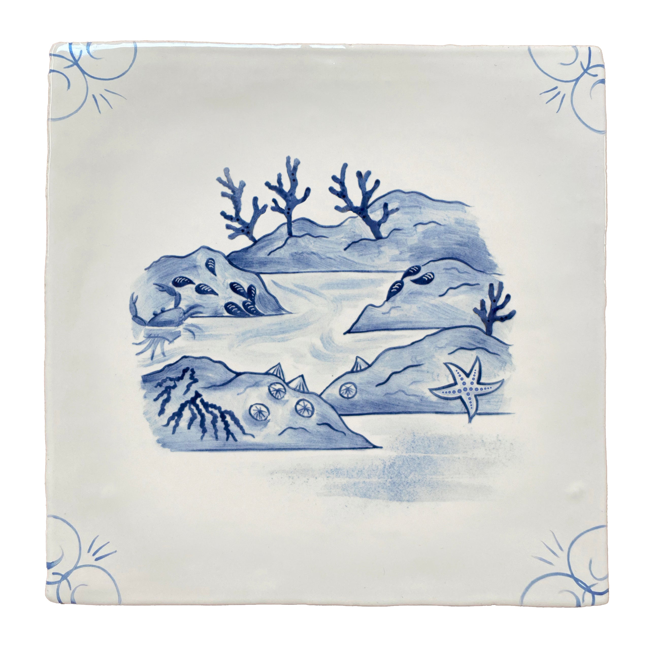Wilderness Delft Rockpooling