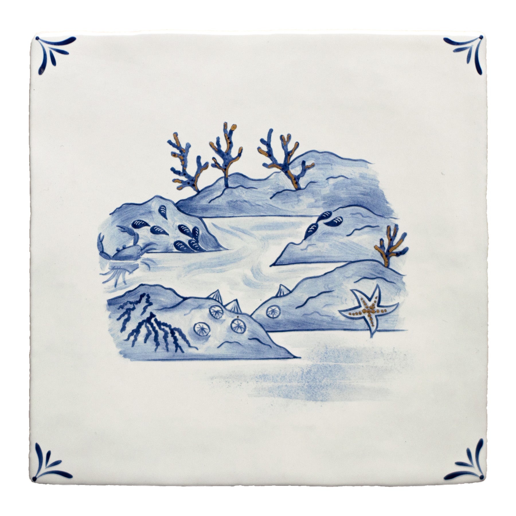 Wilderness Delft Rockpooling with Gold