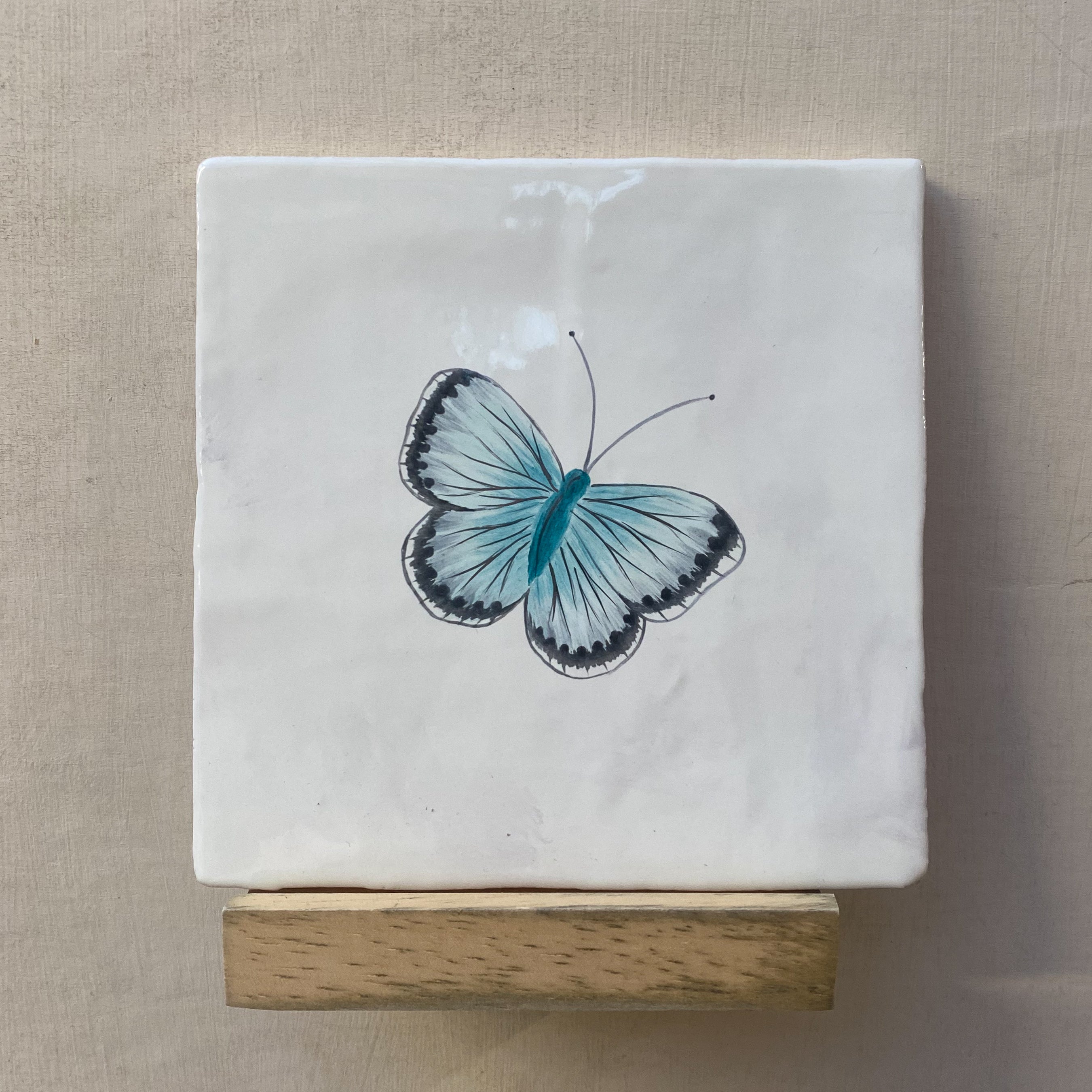 Seconds - Garden Insect Chalk Blue Butterfly on English (Right)