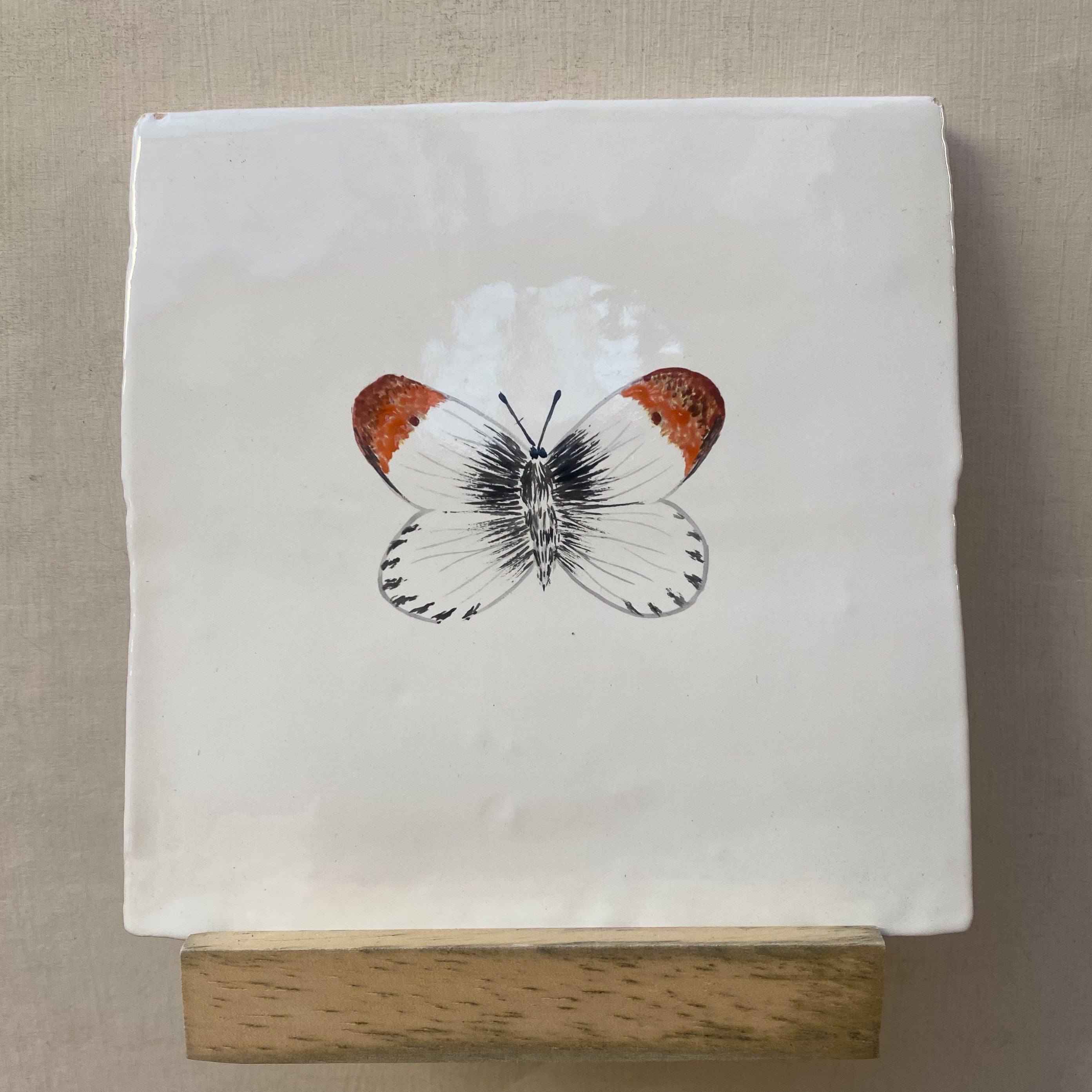 Seconds - White Butterfly on English