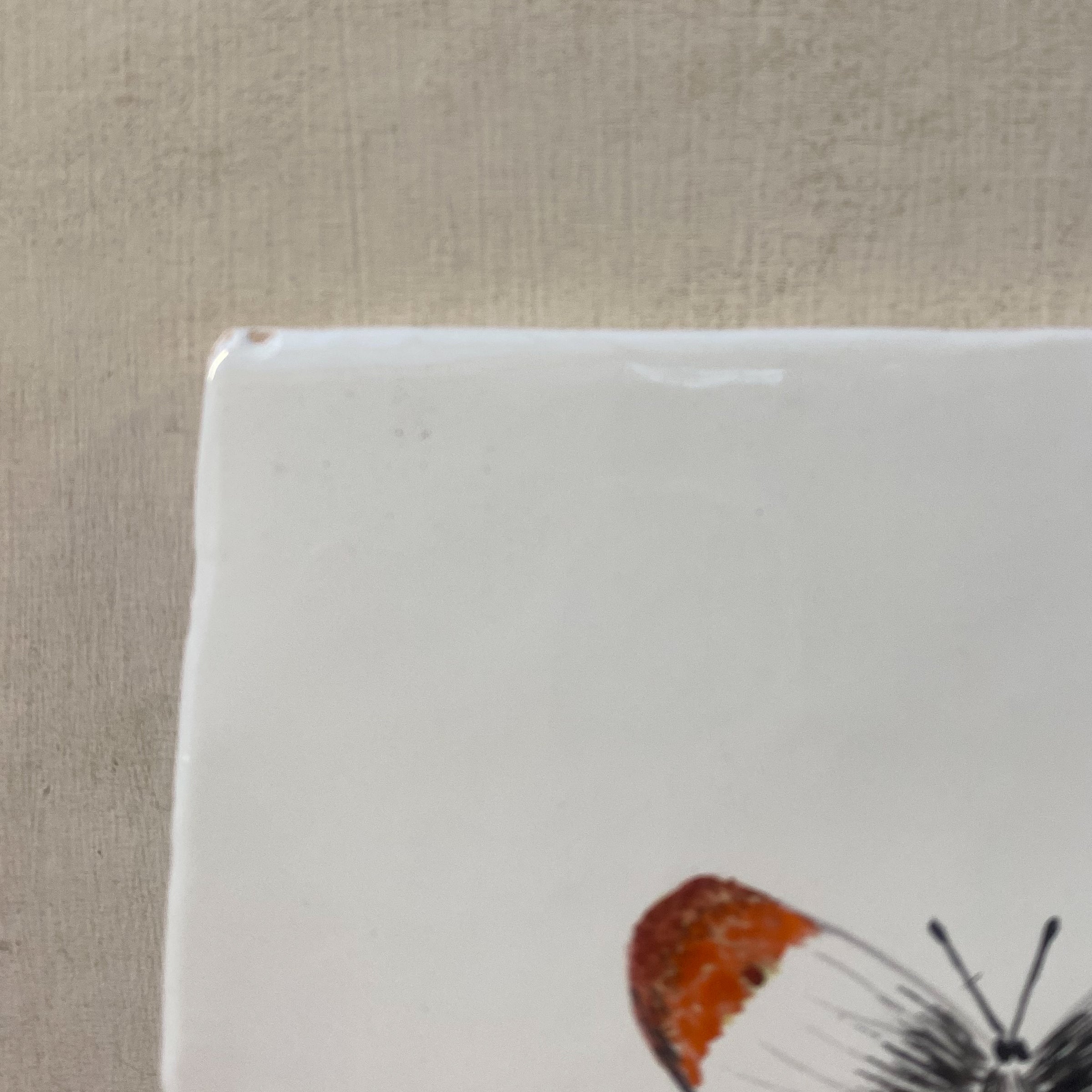 Seconds - White Butterfly on English