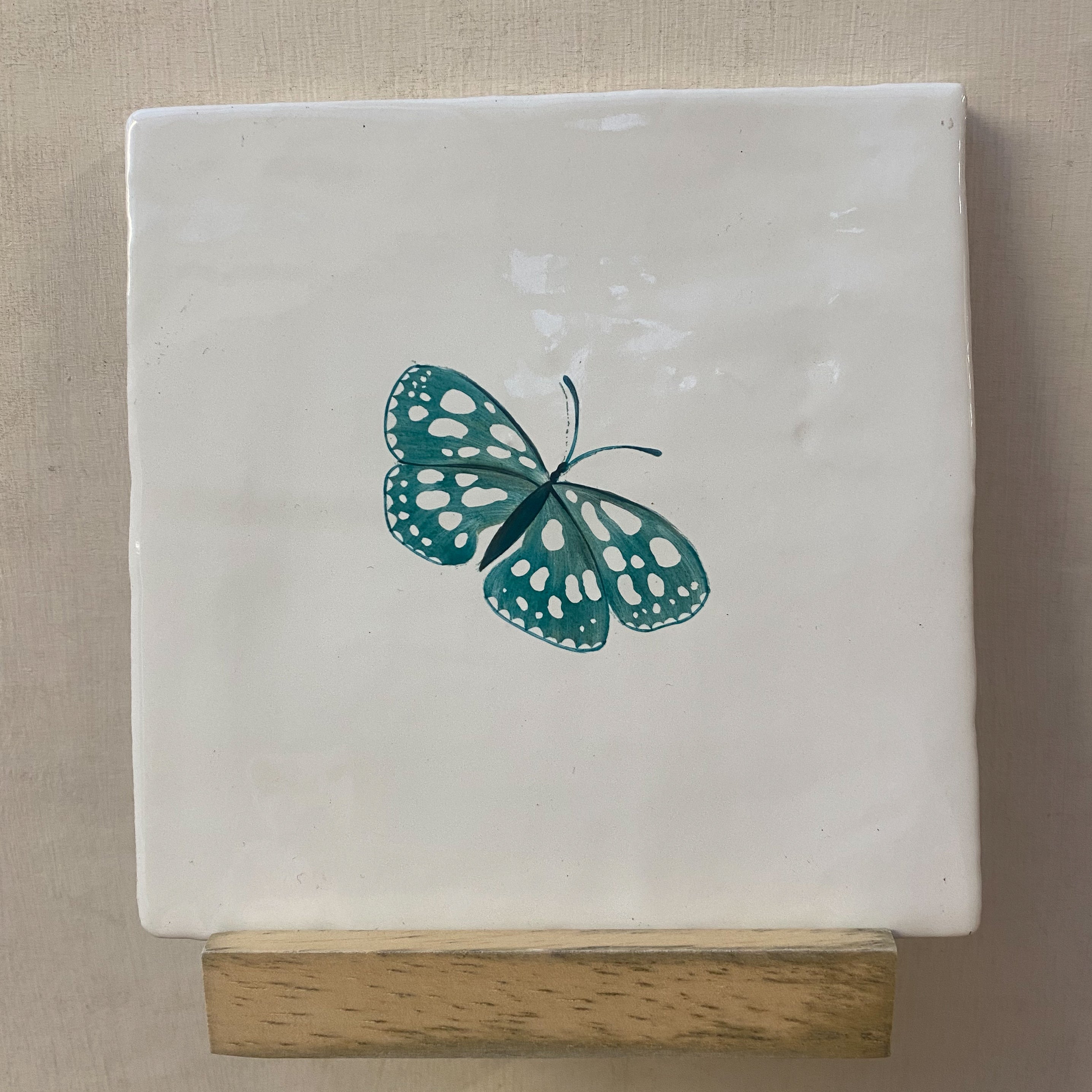 Seconds - Garden Insect Marbled Butterfly on English