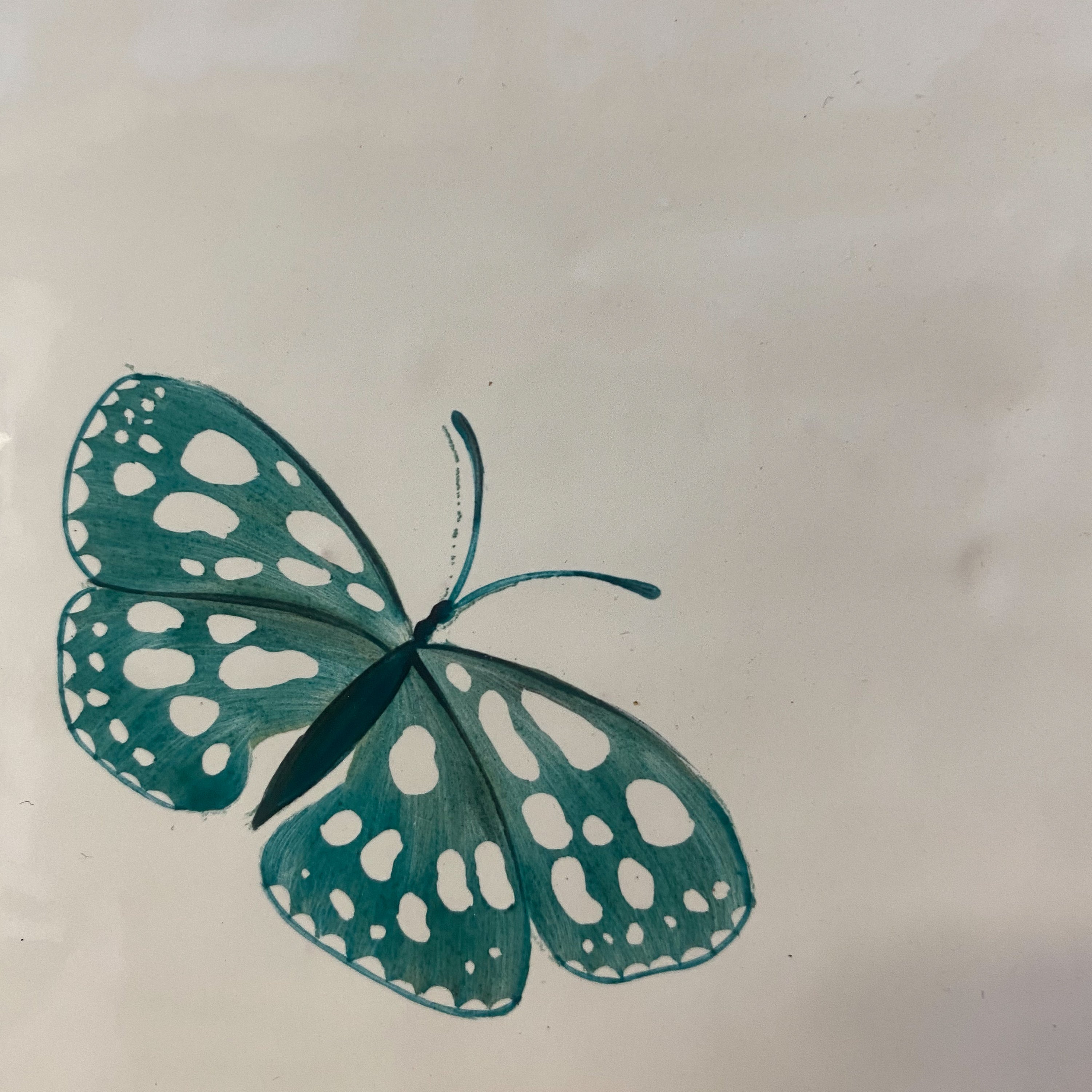 Seconds - Garden Insect Marbled Butterfly on English