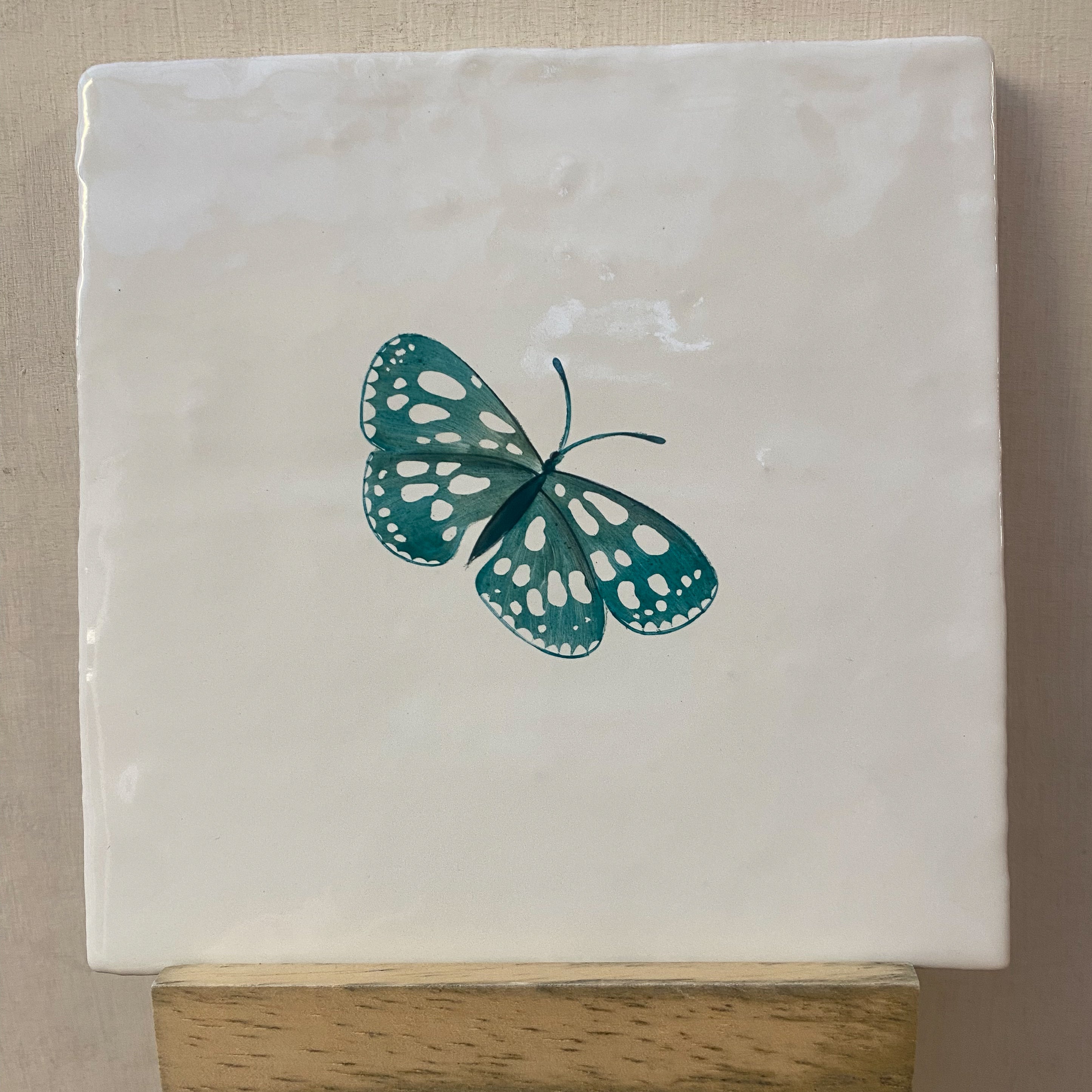 Seconds - Garden Insect Marbled Butterfly on English