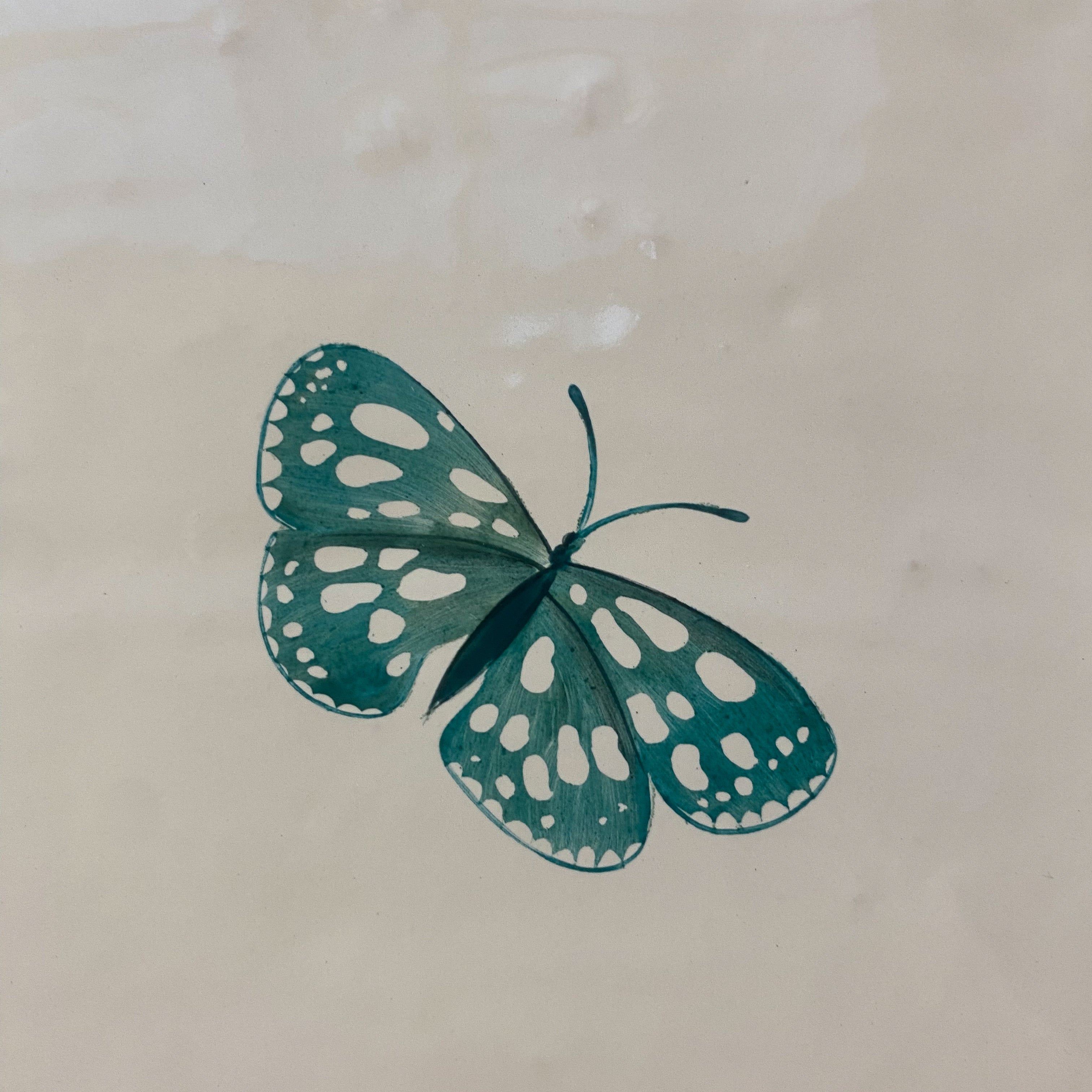 Seconds - Garden Insect Marbled Butterfly on English