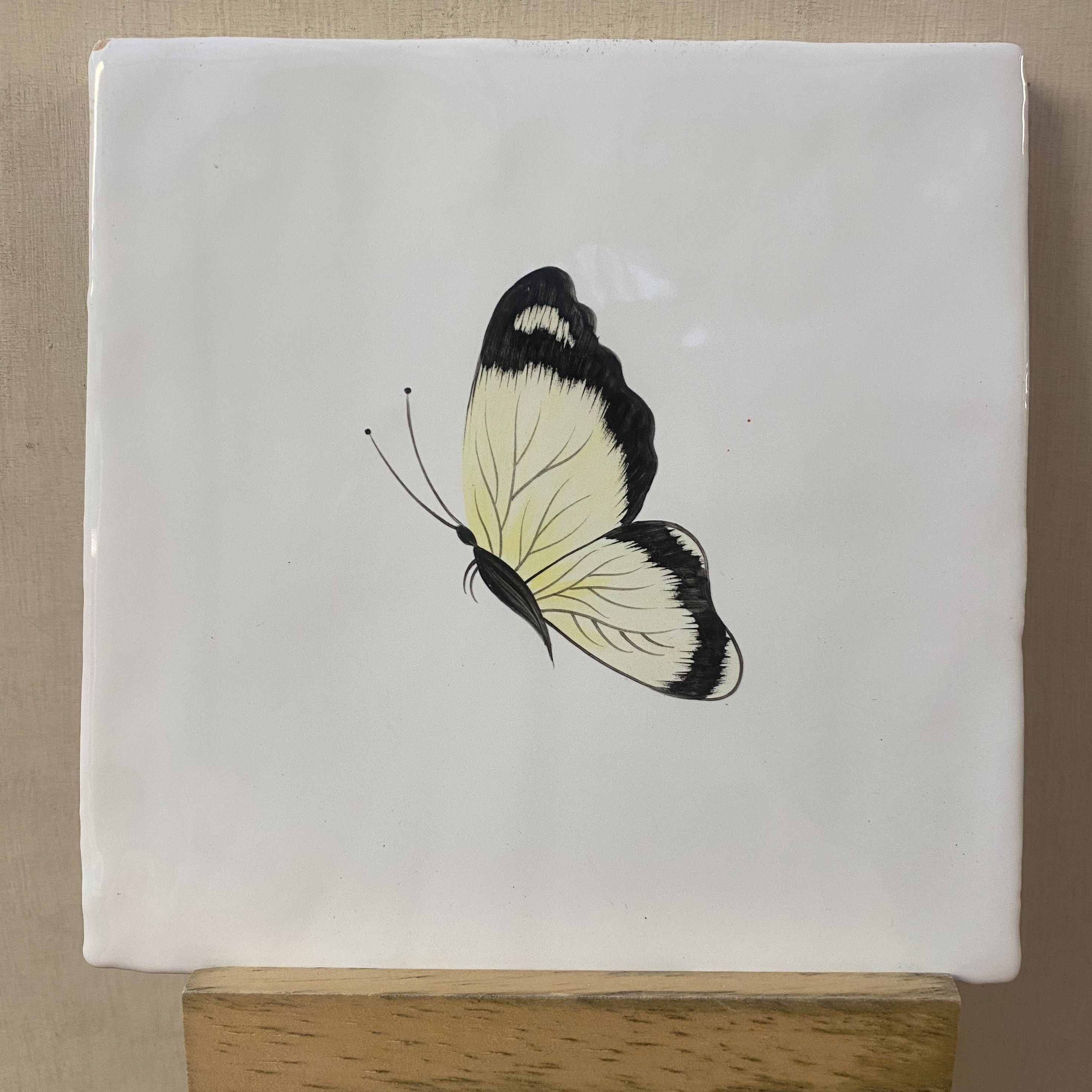 Seconds - Cloud Yellow Butterfly on Cornish