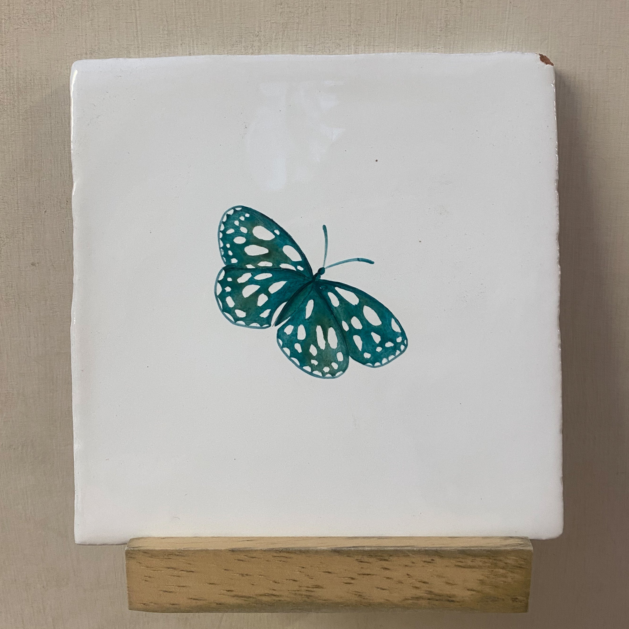 Seconds - Garden Insect Marbled Butterfly on Cornish