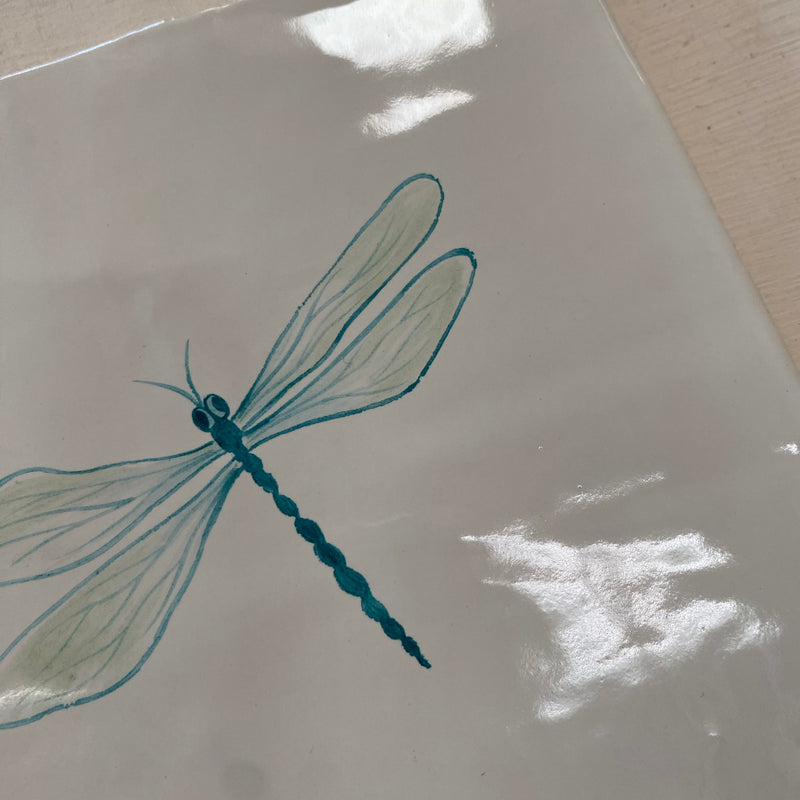 Seconds - Garden Insect Dragonfly in Flight