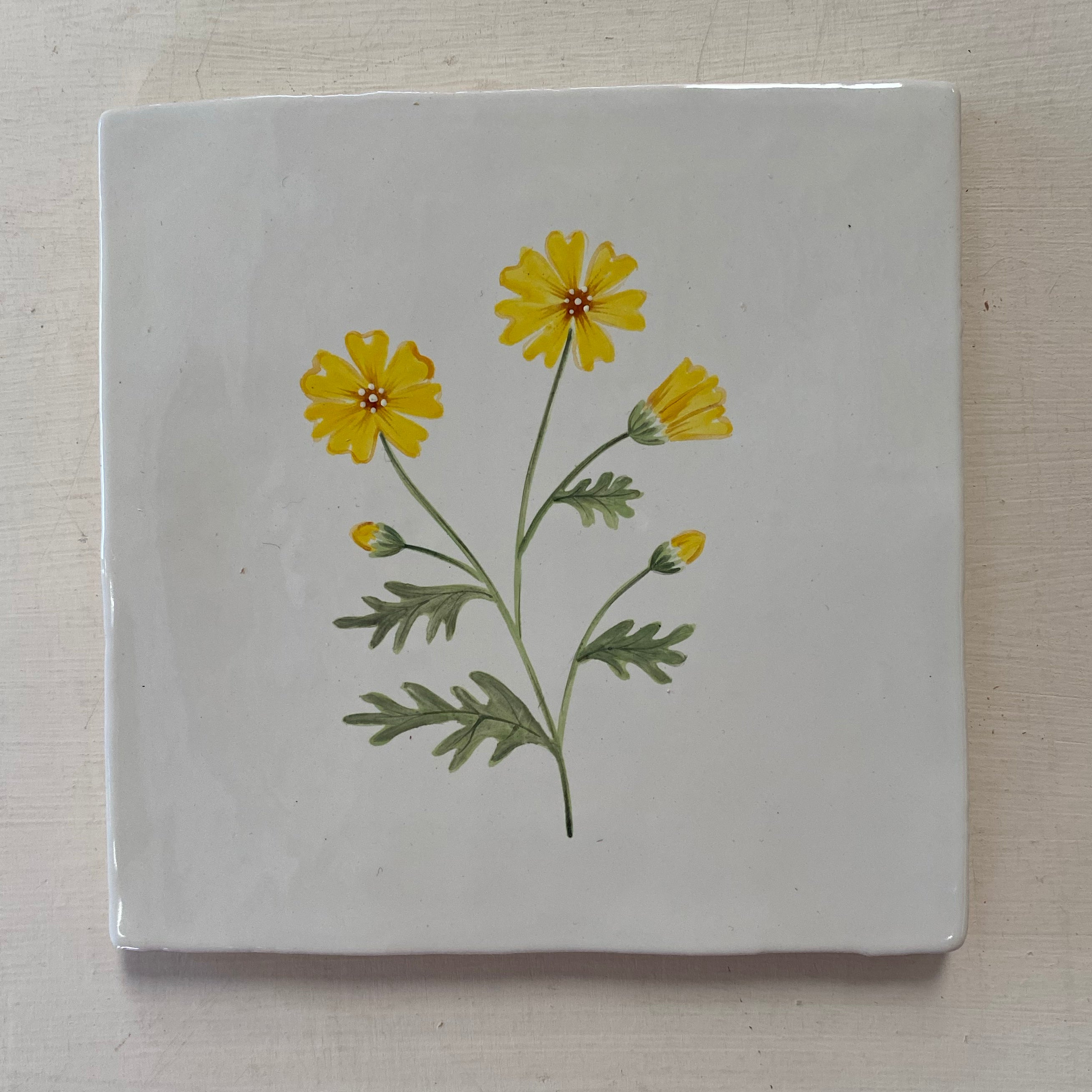 Seconds Cornish Meadow Marigold Decorum Studio Cornwall