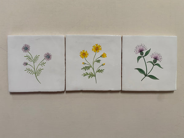 Seconds - Cornish Meadow Set of 3
