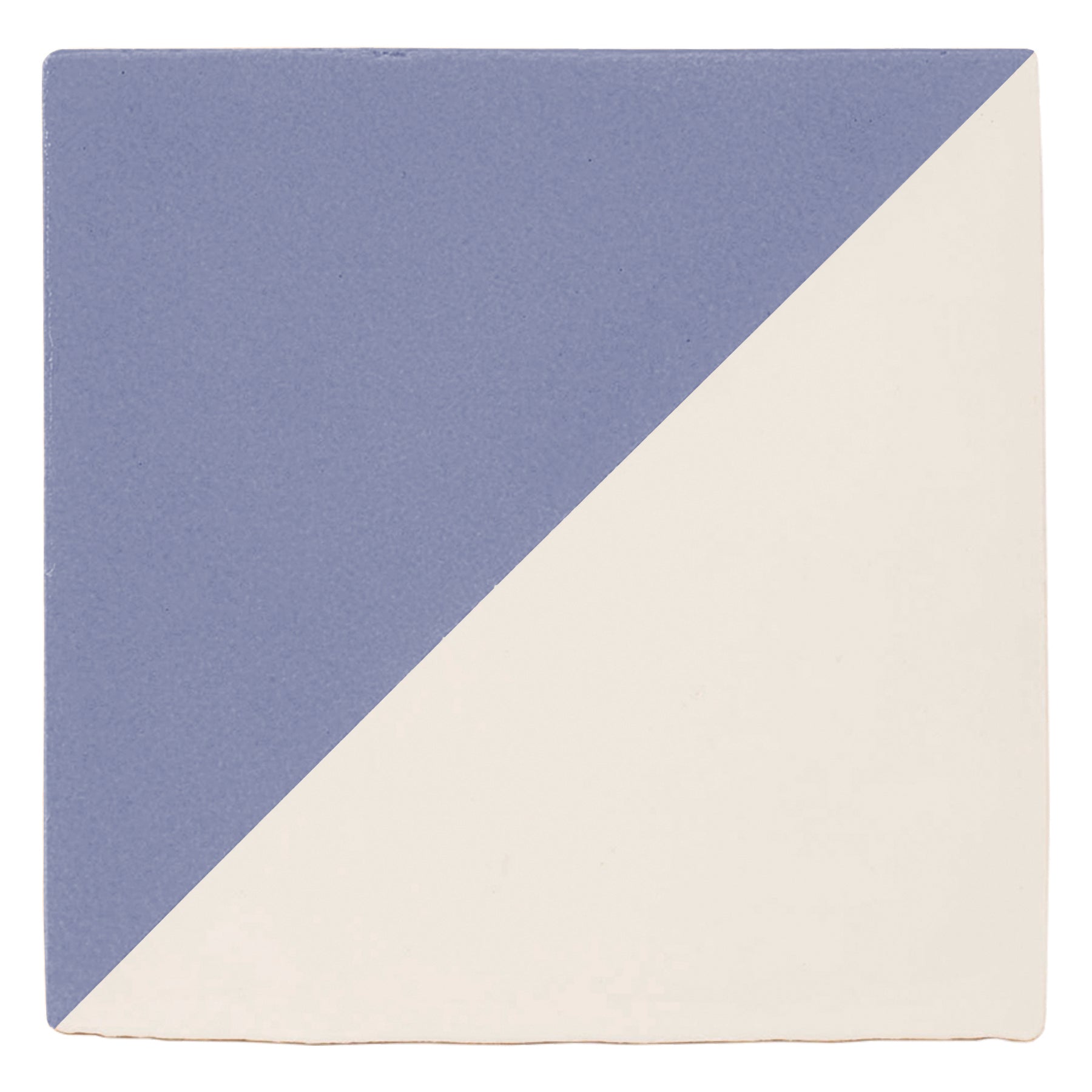 Signal Bluebell
