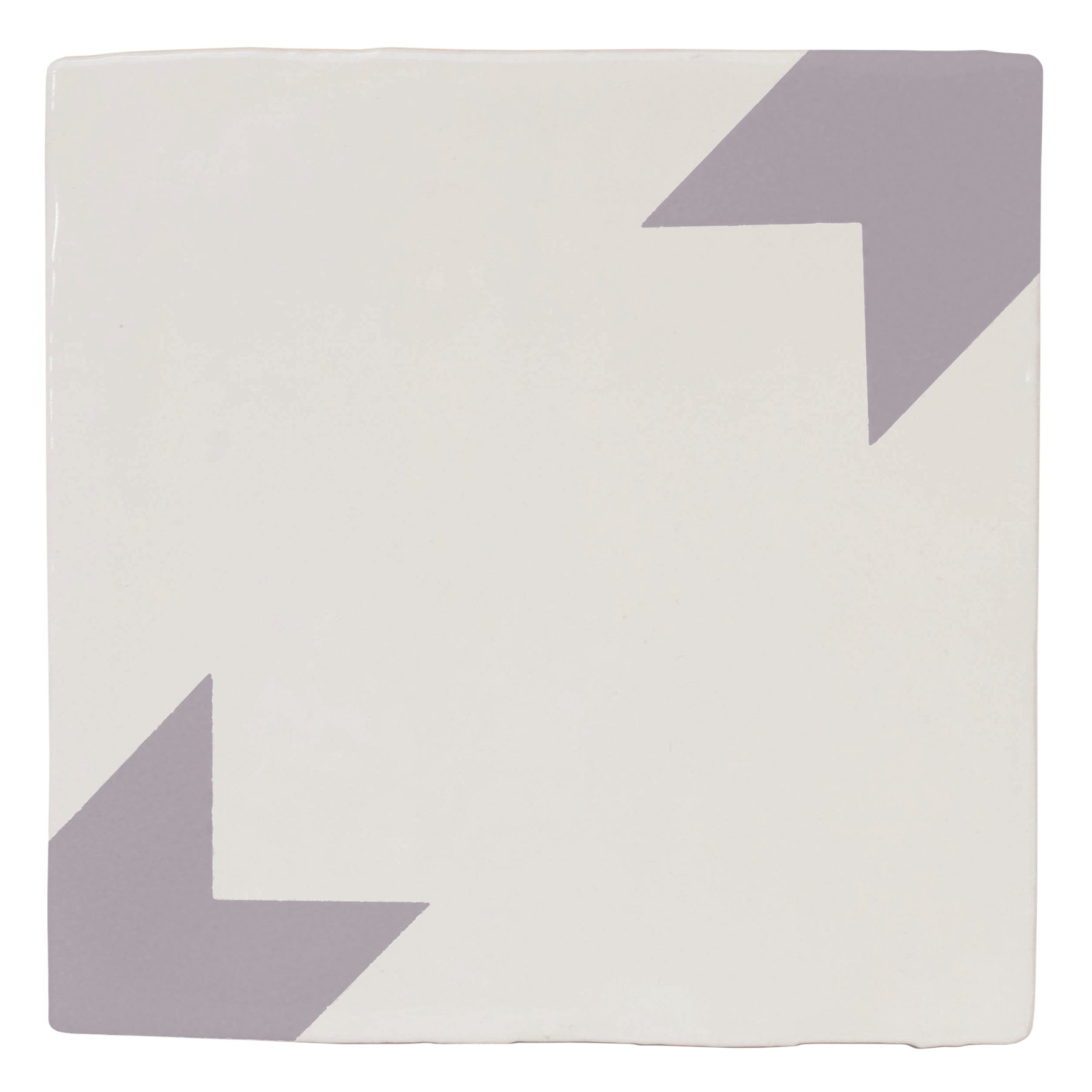 Stargazy Lavender